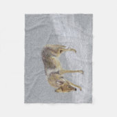 Coyote Fleece Deken (Voorkant)