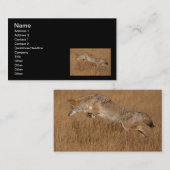 Coyote Flying Visitekaartje (Voorkant / Achterkant)