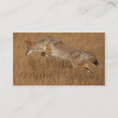 Coyote Flying Visitekaartje (Achterkant)