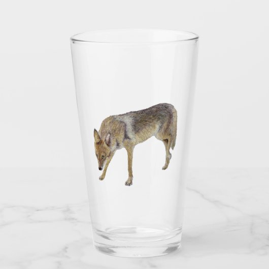 Coyote Glas (Voorkant)