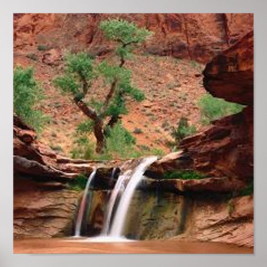 Coyote Gulch-Herfsten Poster (Voorkant)