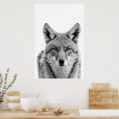 Coyote Head Portrait Black White Poster (Keuken)