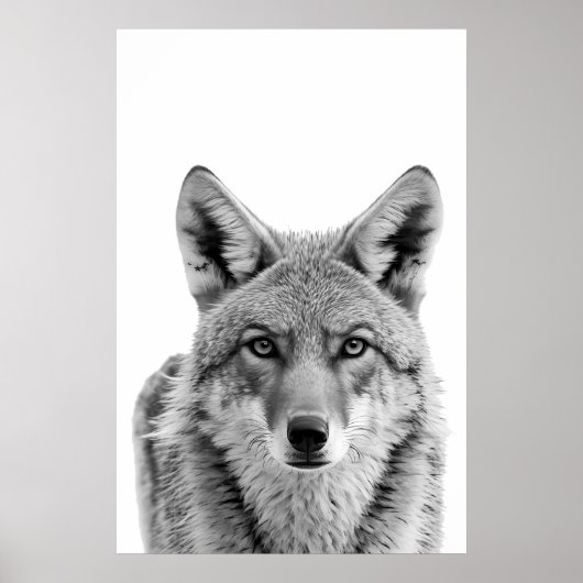 Coyote Head Portrait Black White Poster (Voorkant)