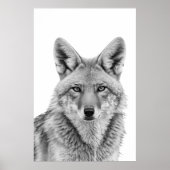 Coyote Head Portret zwart wit Poster (Voorkant)