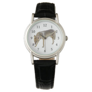 Coyote Horloge