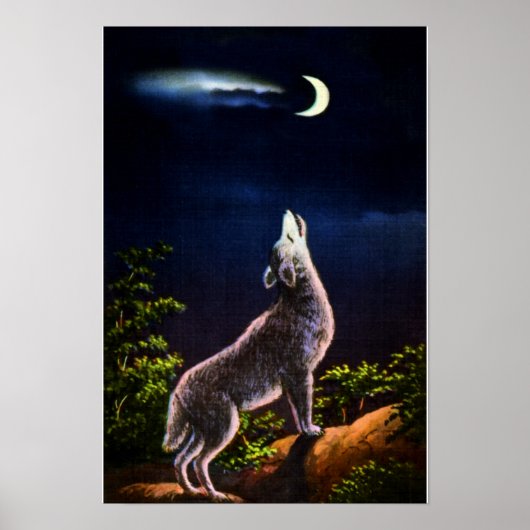 Coyote Howling bij de maan Poster (Voorkant)