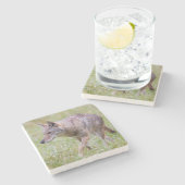 Coyote in het veld, Cades Cove Stenen Onderzetter (Zijkant)