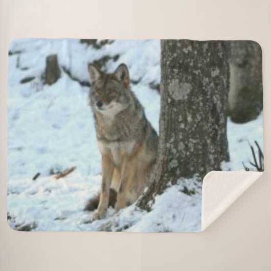 COYOTE in het WILD Sherpa Deken (Voorkant (horizontaal))