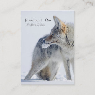 Coyote in Snow Wildlife Guide, Ecoloog Visitekaartje