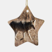 Coyote Keramisch Ornament (Rechts)