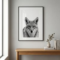 Coyote kopportret kunst zwart wit
