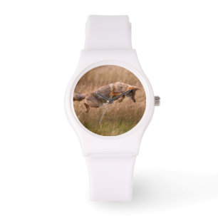 Coyote Leaping - Gibbon Meadows Horloge