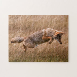 Coyote Leaping - Gibbon Meadows Legpuzzel