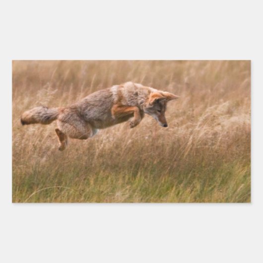 Coyote Leaping - Gibbon Meadows Rechthoekige Sticker (Voorkant)