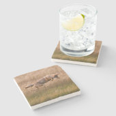 Coyote Leaping - Gibbon Meadows Stenen Onderzetter (Zijkant)