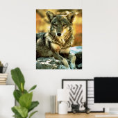 Coyote Lovers Gifts Poster (Thuiskantoor)