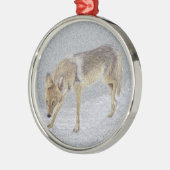 Coyote Metalen Ornament (Links)