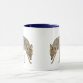 Coyote Mok (Midden)