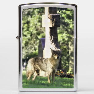 Coyote op begraafplaats