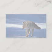 Coyote op sneeuw visitekaartje (Achterkant)