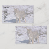 Coyote op sneeuw visitekaartje (Voorkant / Achterkant)