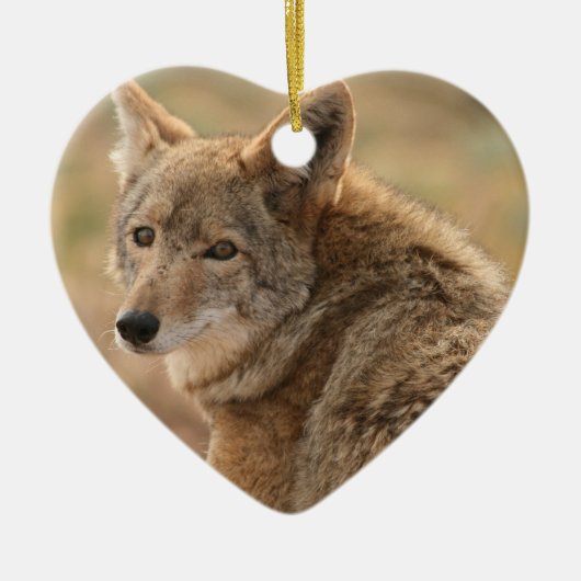 Coyote Ornament (Voorkant)
