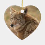 Coyote Ornament (Achterkant)