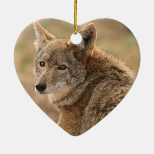 Coyote Ornament (Achterkant)