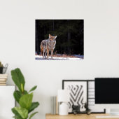 Coyote Poster of afdrukken (Thuiskantoor)