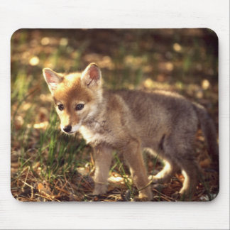 Coyote Pup Mousepad Muismat