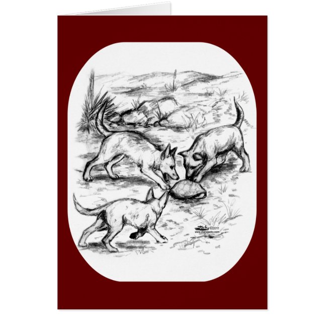 Coyote Pups (Devant)