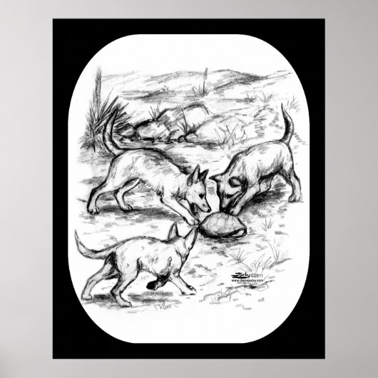 Coyote Pups Poster (Voorkant)