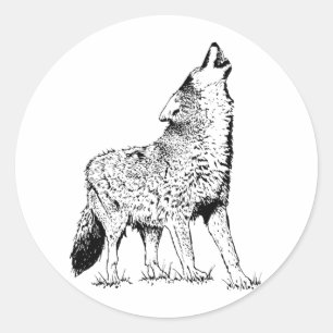Coyote Ronde Sticker