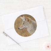coyote ronde sticker (Envelop)
