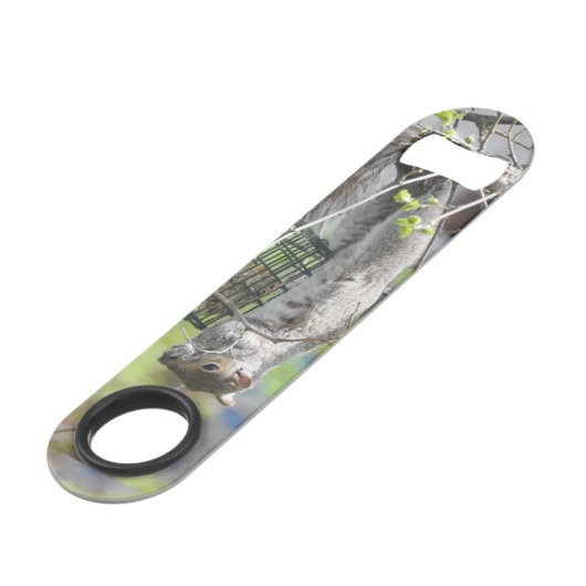 Coyote sauvage (Devant angulaire)