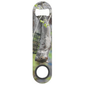 Coyote sauvage (Devant)