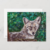 Coyote-schilderijen Briefkaart (Voorkant / Achterkant)
