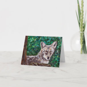Coyote-schilderijen Kaart