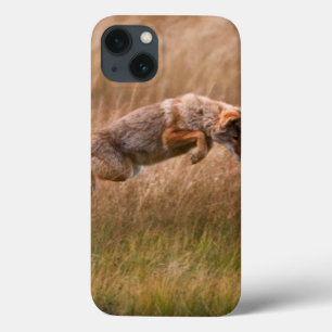 Coyote springt - Gibbon Meadows iPhone 13 Hoesje