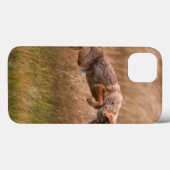 Coyote springt - Gibbon Meadows Case-Mate iPhone Case (Achterkant (horizontaal))