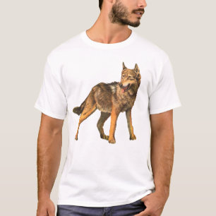 coyote t-shirt