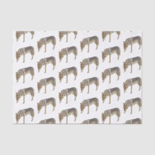 Coyote Tissuepapier