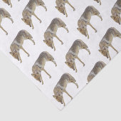 Coyote Tissuepapier (Detail)