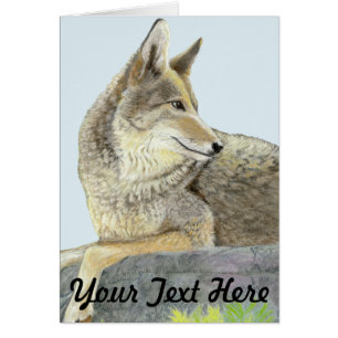 Coyote Wenskaart