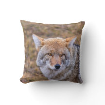 Coyote Wild Dog Pillow
