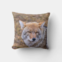 Coyote Wild Dog Pillow Kussen