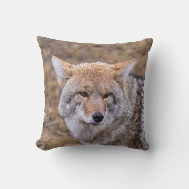 Coyote Wild Dog Pillow Kussen (Voorkant)