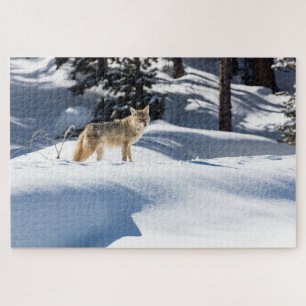 Coyote Winter Dieren Legpuzzel