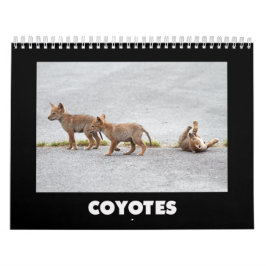 Coyotes Calendar Kalender