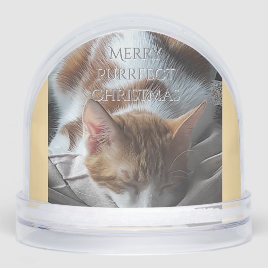 Coz Kitten Snow Globe Christmas Gift (Avant)